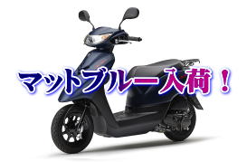 C[W01